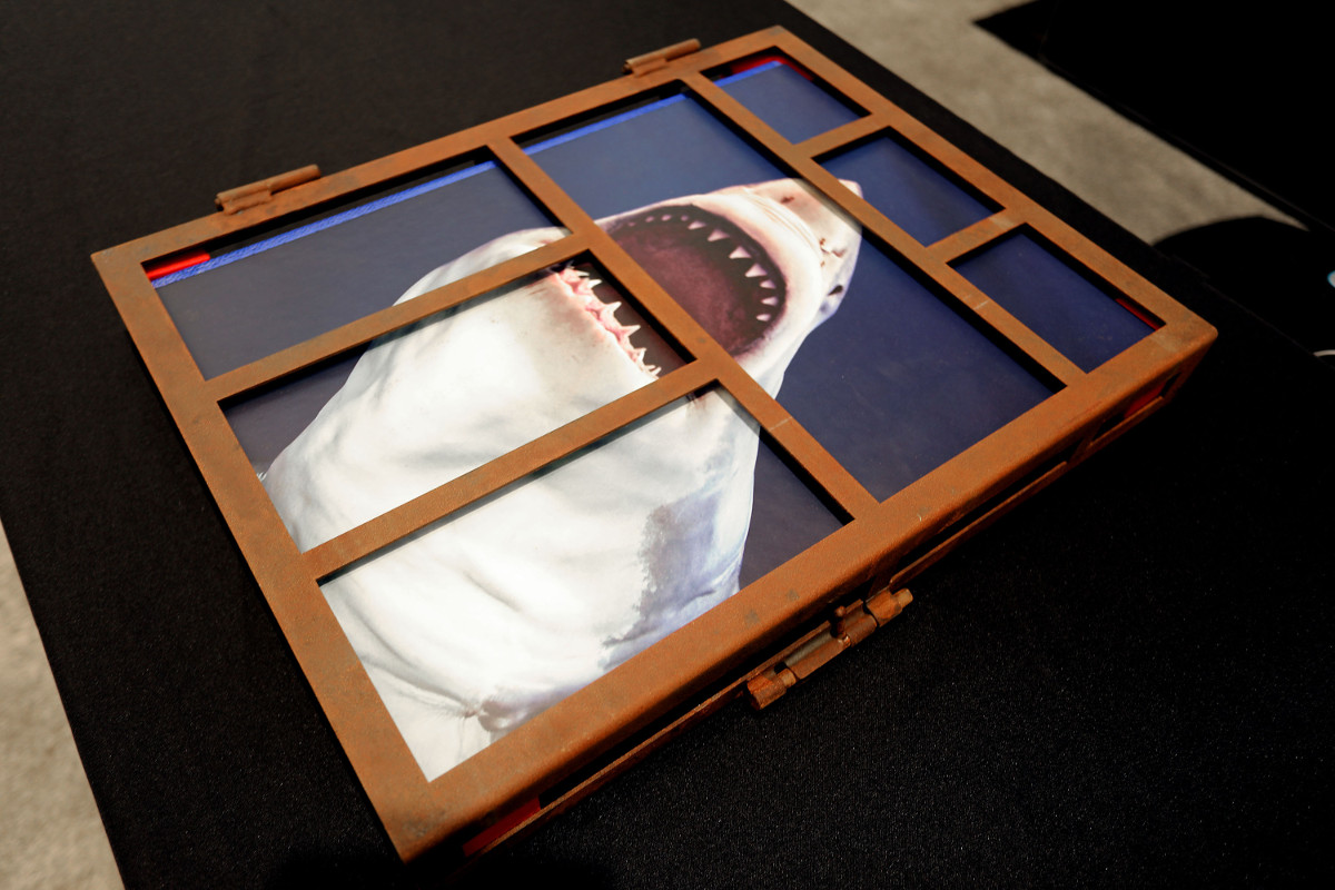IWC Aquatimer Chronograph Edition „Sharks” - w trosce o rekiny | timeandwatches.pl