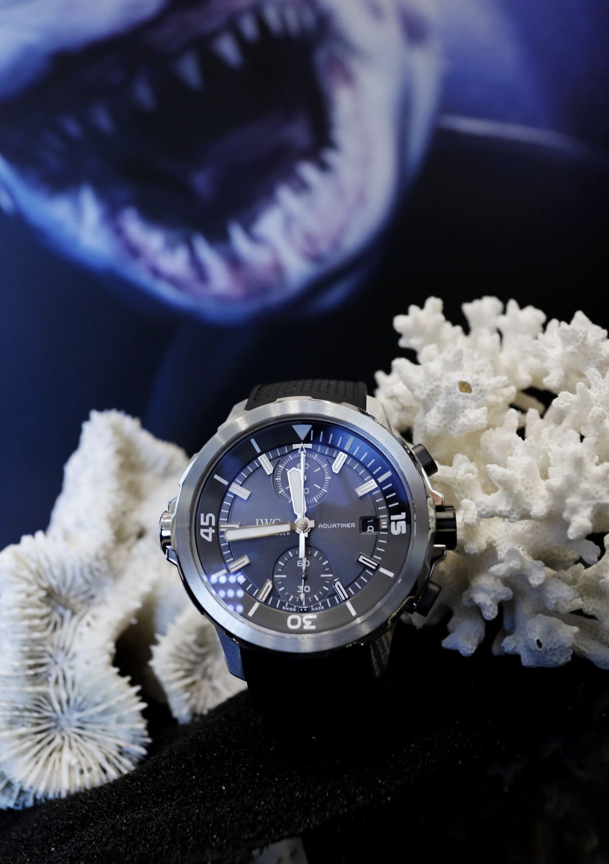 IWC Aquatimer Chronograph Edition „Sharks” - w trosce o rekiny | timeandwatches.pl