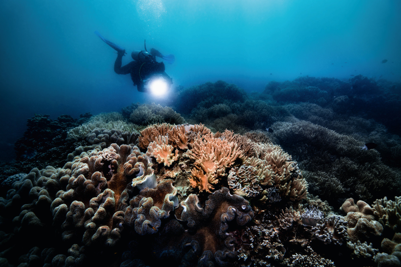 [Basel 2019]: Oris Great Barrier Reef III Limited Edition - na ratunek koralowcom